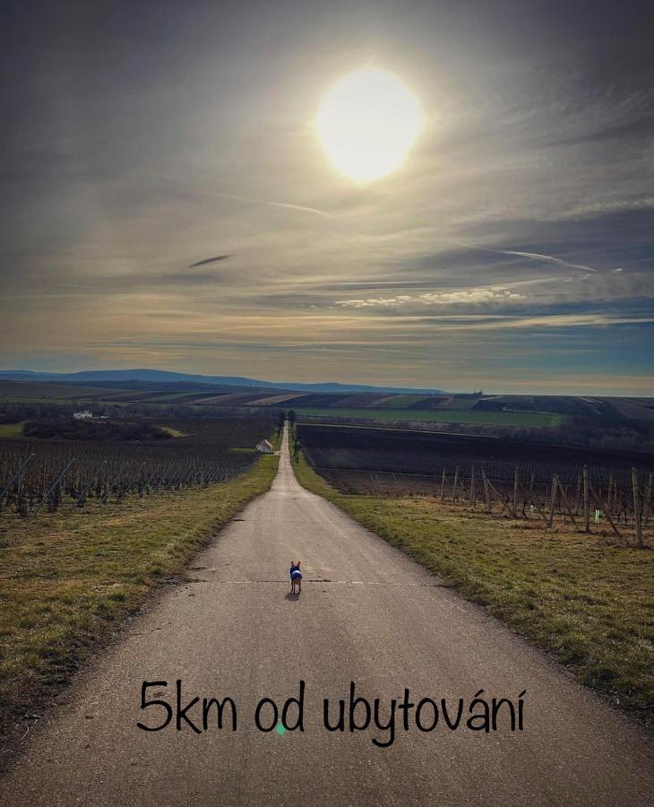 Appartamento M.F. Znojmo Esterno foto